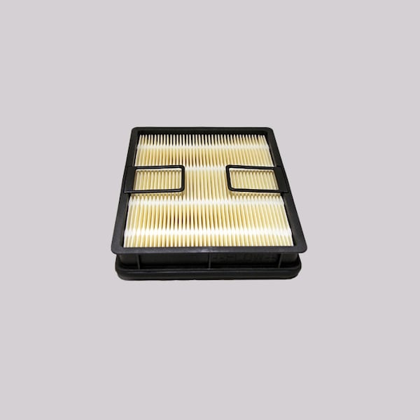 Air Filter, Safety, P638062